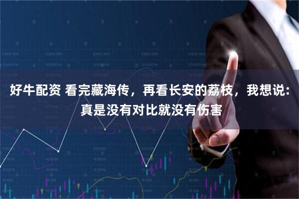 好牛配资 看完藏海传，再看长安的荔枝，我想说: 真是没有对比就没有伤害