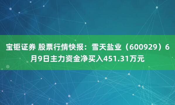 宝钜证券 股票行情快报：雪天盐业（600929）6月9日主力资金净买入451.31万元