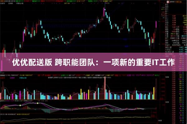优优配送版 跨职能团队：一项新的重要IT工作
