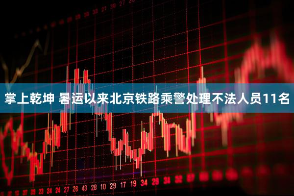 掌上乾坤 暑运以来北京铁路乘警处理不法人员11名