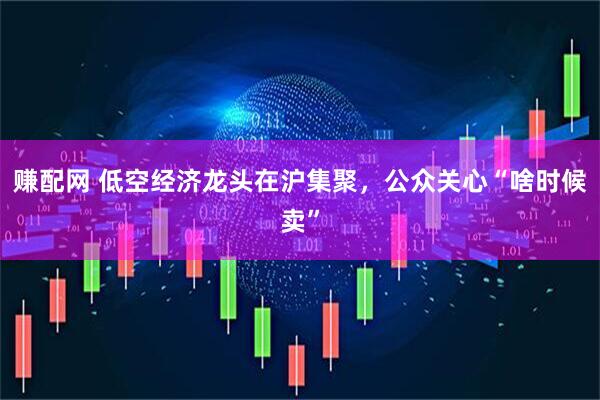 赚配网 低空经济龙头在沪集聚，公众关心“啥时候卖”