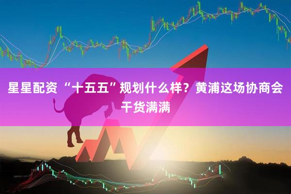 星星配资 “十五五”规划什么样？黄浦这场协商会干货满满