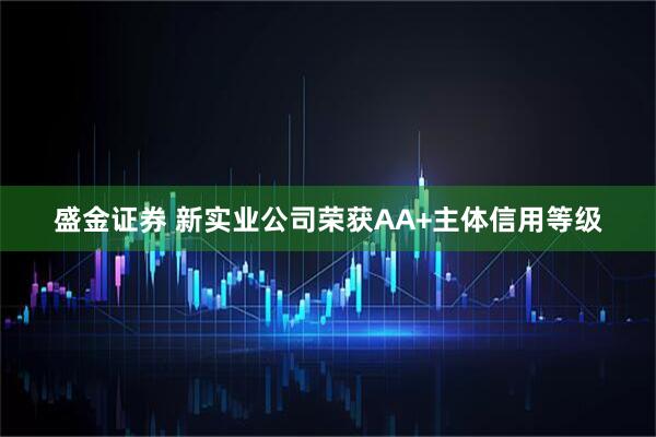 盛金证券 新实业公司荣获AA+主体信用等级