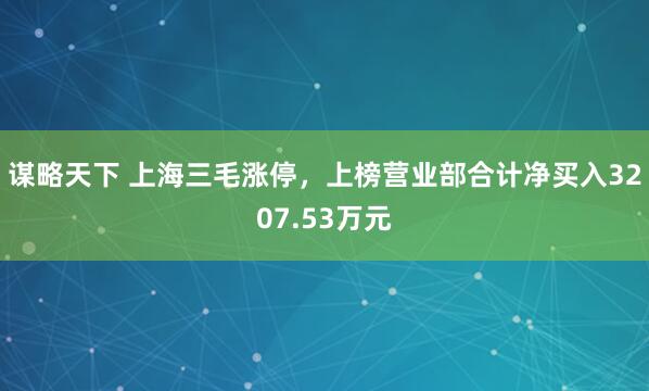谋略天下 上海三毛涨停，上榜营业部合计净买入3207.53万元