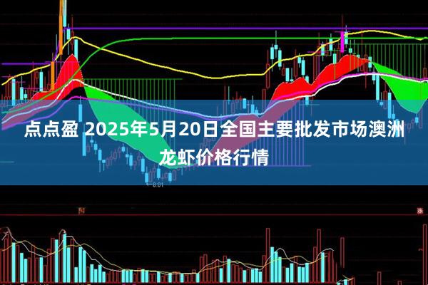 点点盈 2025年5月20日全国主要批发市场澳洲龙虾价格行情