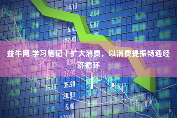 益牛网 学习笔记｜扩大消费，以消费提振畅通经济循环