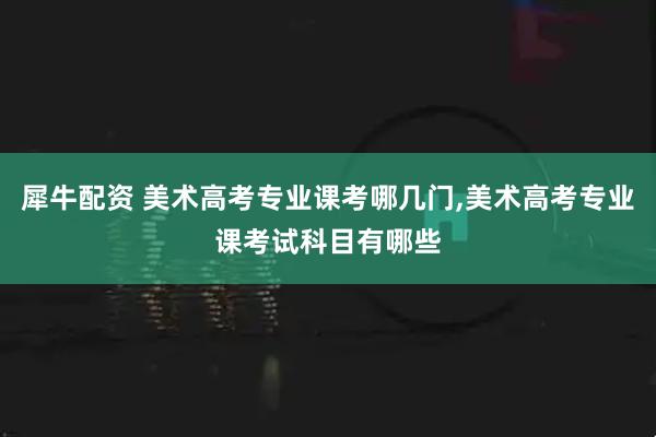 犀牛配资 美术高考专业课考哪几门,美术高考专业课考试科目有哪些